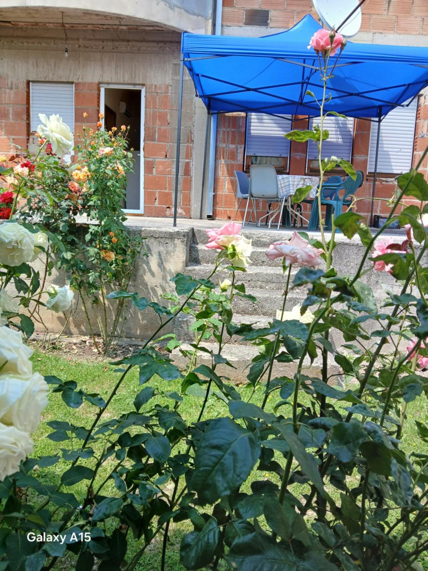 Bahar Apartment