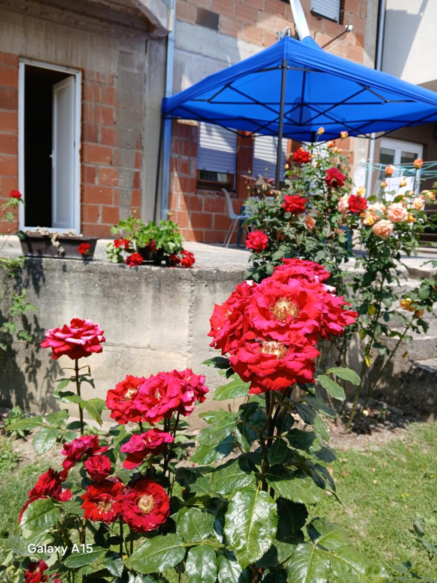 Apartment Bahar Ohrid